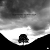 Lackluster Scattered Harvest
