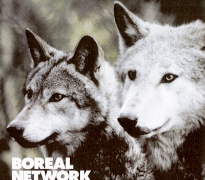 Boreal Network - Phase With The Moon (rtn014)